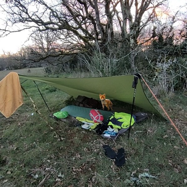 Comprendre le Bivouac : Tout ce que vous devez savoir