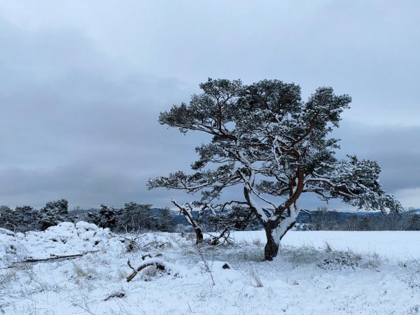 Retour des 5 jours sur Stevenson en mars 2025